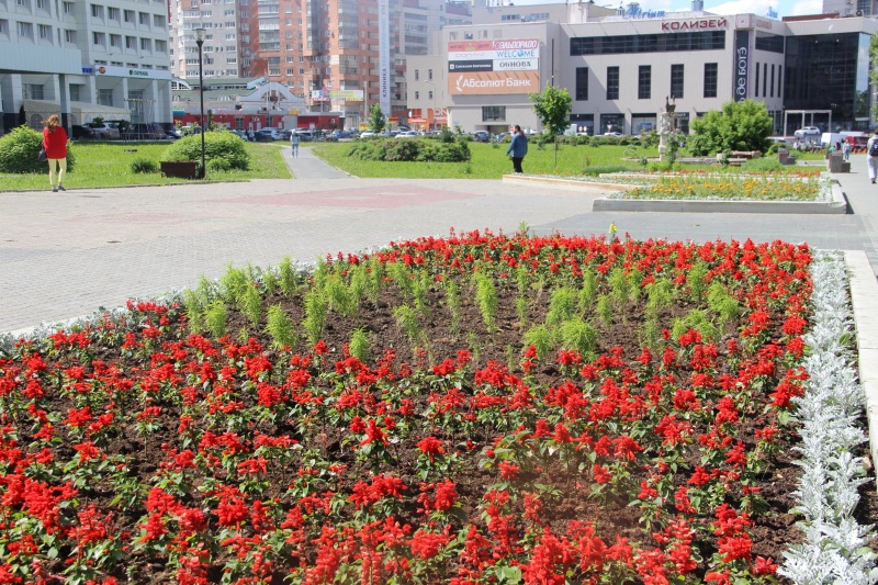img 1498498699