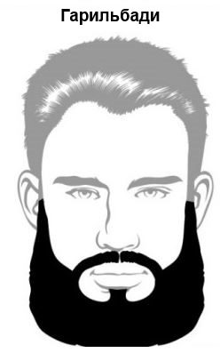 garibaldi