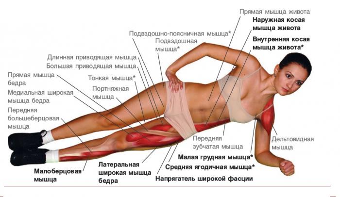 Боковые подъемы таза